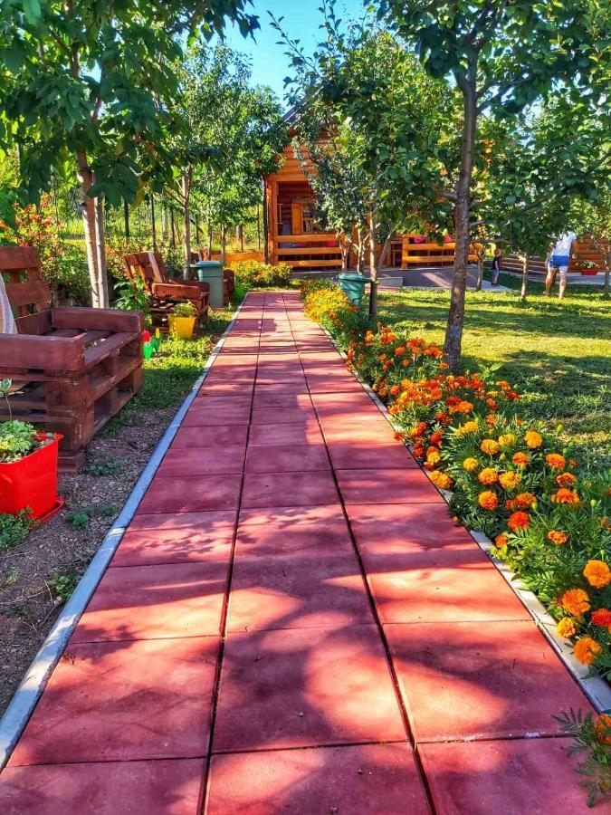 Holiday Bungalows & Food Плав Екстериор снимка