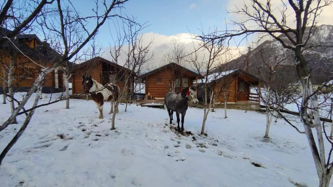 Holiday Bungalows & Food Плав Екстериор снимка